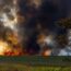 A dramatic scene of a grassland wildfire with thick smoke and bright flames engulfing the field.